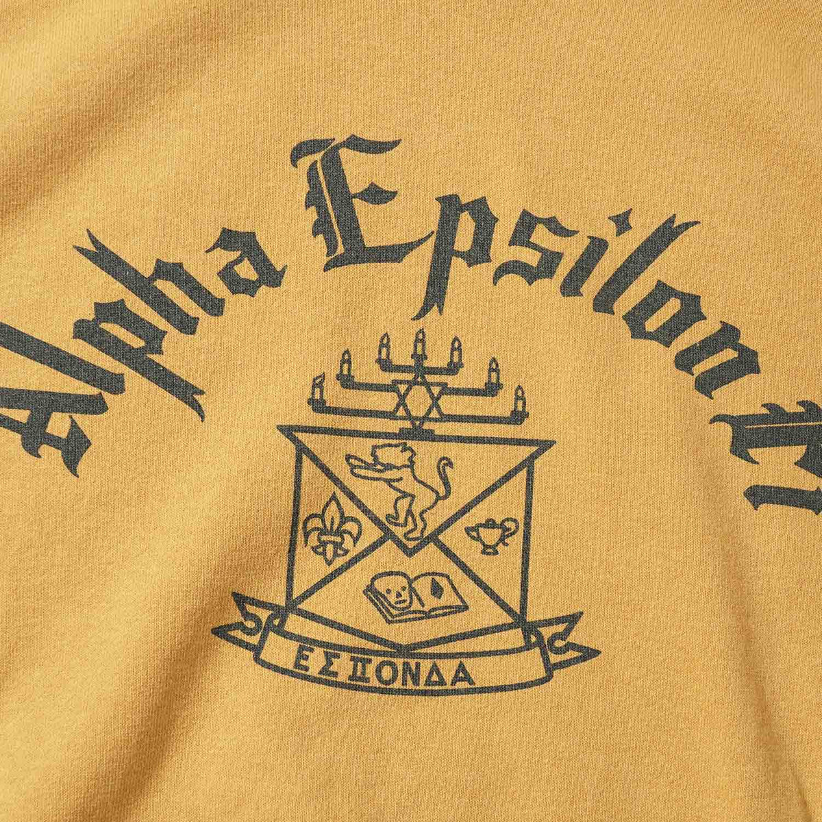 WAREHOUSE ウエアハウス スウェット・パーカー Lot.462 "ALPHA EPSILON PI" 462-ALPHA EPSILON PI(25AW)