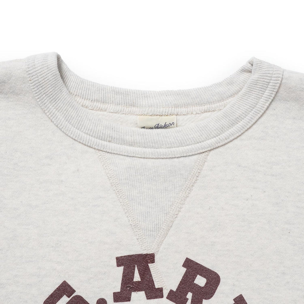 BUZZ RICKSON'S バズリクソンズ スウェット SET-IN CREW NECK SWEAT SHIRTS “U.S.ARMY AIR FORCES” BR69797