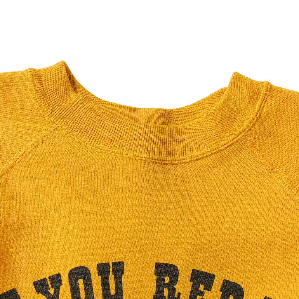 WAREHOUSE ウエアハウス Vintage PEANUTS スウェット・トレーナー Lot.YP226W-1 " FLYING ACE" YP226W-1(26AW)