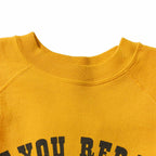 WAREHOUSE ウエアハウス Vintage PEANUTS スウェット・トレーナー Lot.YP226W-1 " FLYING ACE" YP226W-1(26AW)