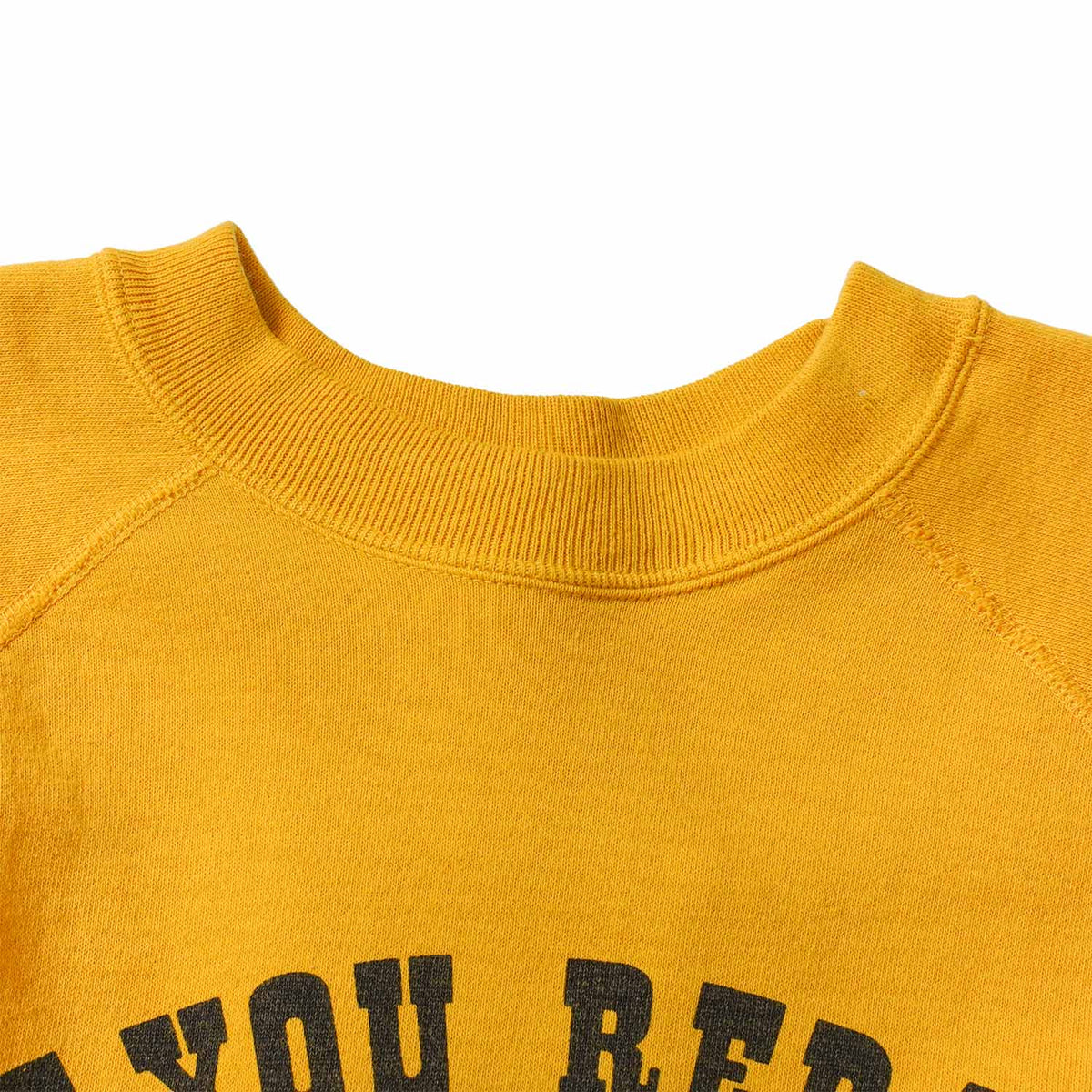 WAREHOUSE ウエアハウス Vintage PEANUTS スウェット・トレーナー Lot.YP226W-1 " FLYING ACE" YP226W-1(26AW)